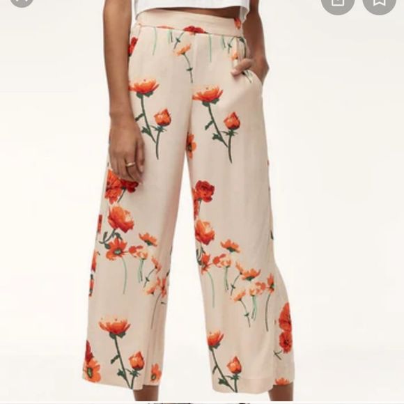 Aritzia Pants - Aritzia Wilfred Faun pants XS in EUC